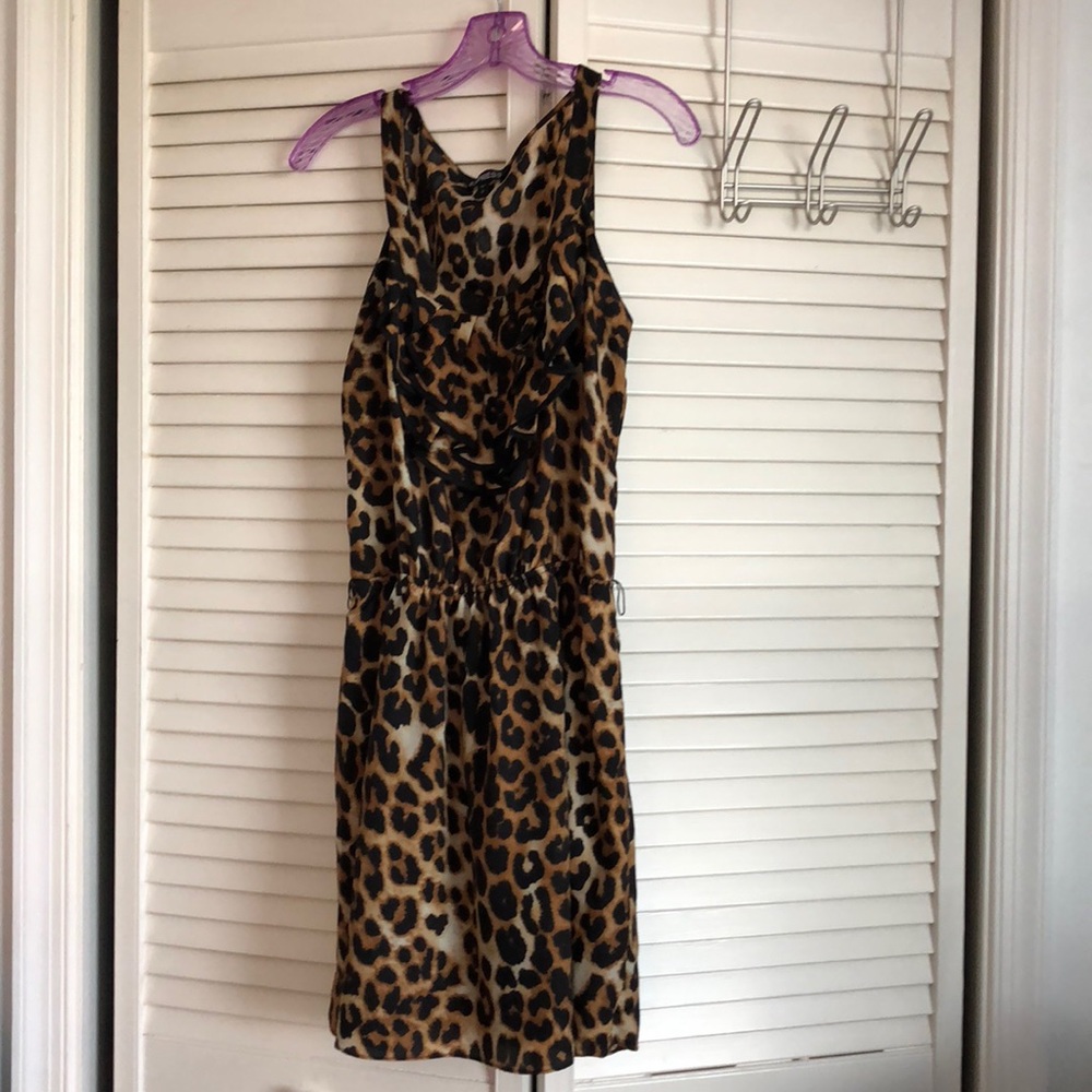 Women’s Express Cheetah Print Dress